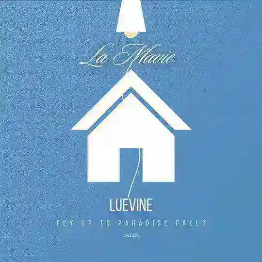 Beloved Vine, check our pinned ❤️‍🩹