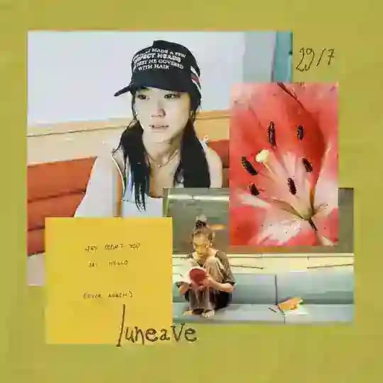 luneave 𓆟.・゜
