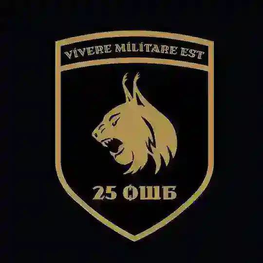 25 ОШБ «Рись»