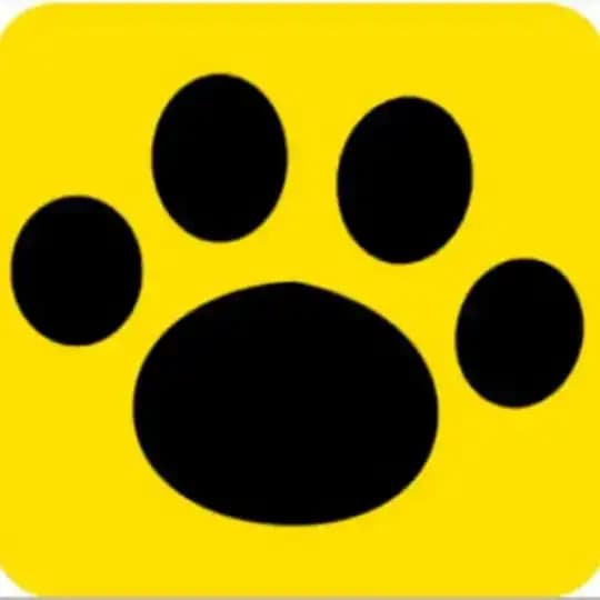 猫超卡助手|飞畅软件