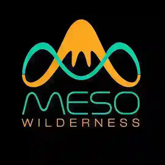 MESO