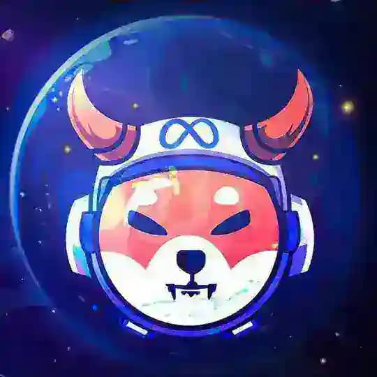 METAFLOKISHIBA_OFFICIAL_CHANNEL