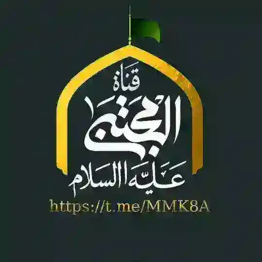 قناة المجتبى عليه السلام