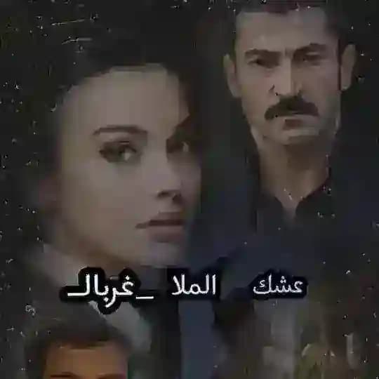 عشك الملا Profile