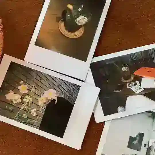 MOODBOARD IDEAS FREE Profile