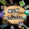 MSM PRIVATO