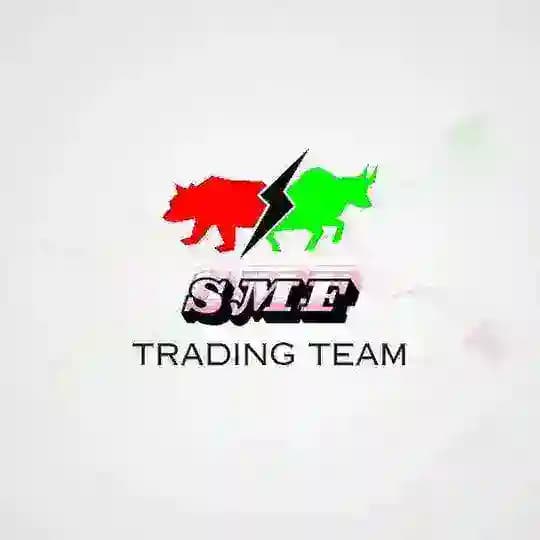 TEAM SMF