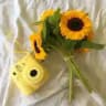 ʏσυ αяє му ѕυηѕнιηє 🌻💛