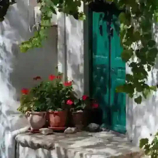 قناة "مساحات هادفة"❤️