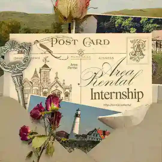 Area Rental's Internship