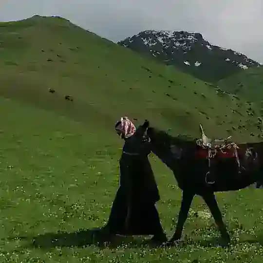 معاذ الفضلي