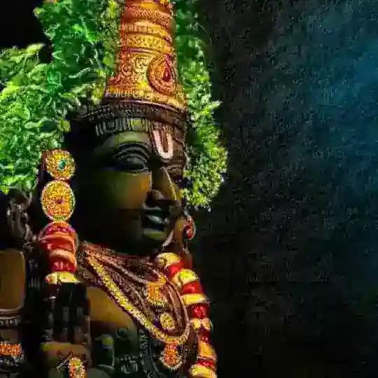 MALIK MUMBAI ORIGINAL