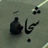 زاپاس کانال منطقه آزاد