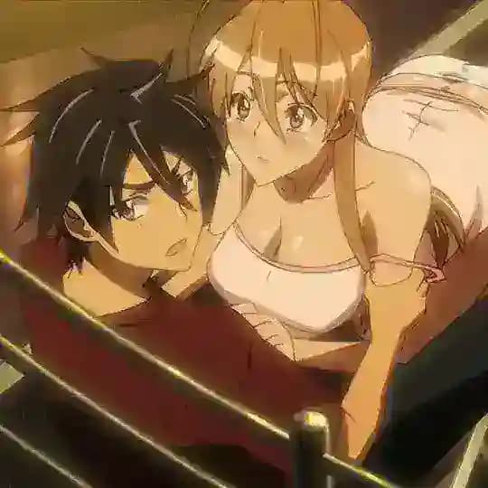 Highschool of the Dead Manga