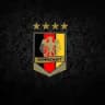 Die Mannschaft & FC Bayern