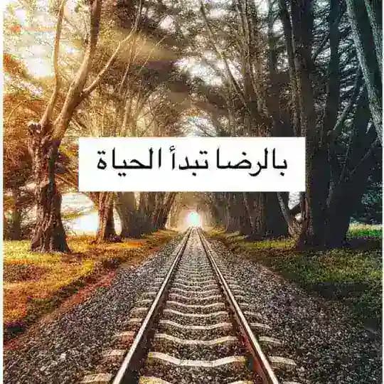 بالرضا تبدأ الحياة