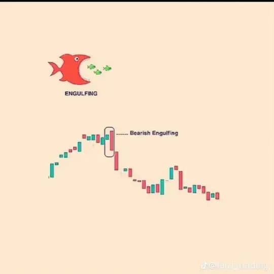 MARKET KING TRADER