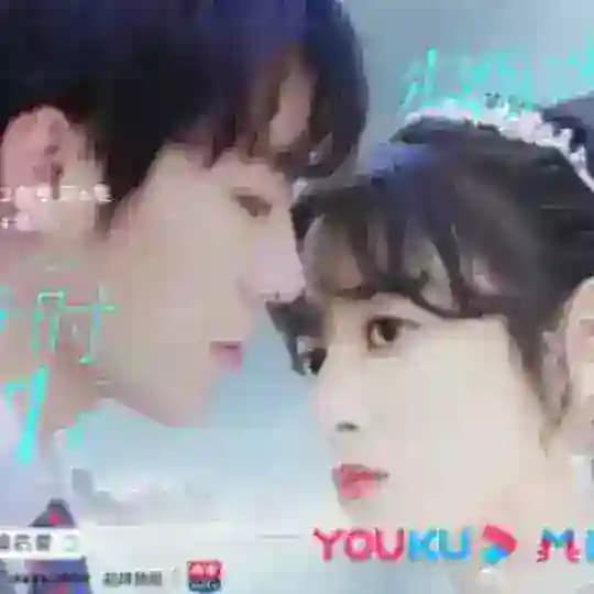 Married First then Fall in Love