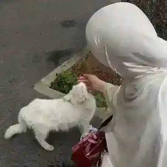 Salsabiil – سلسبيل🌸