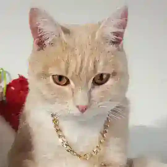Чисто то - что вам не надо😌)