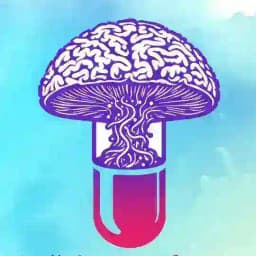 قارچ دارویی سیلوسایبین مجیک ماشروم Profile