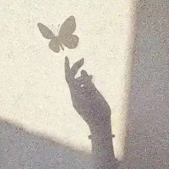 - هَمس النّجومِ
