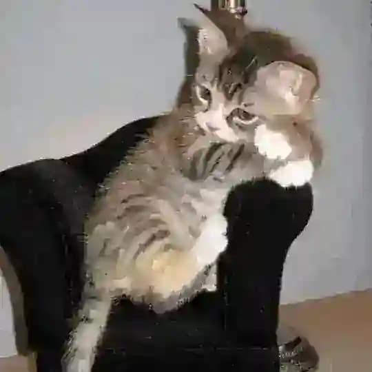 :)