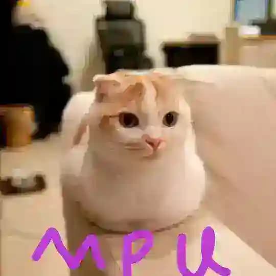 喵喵的理工大学（推送）