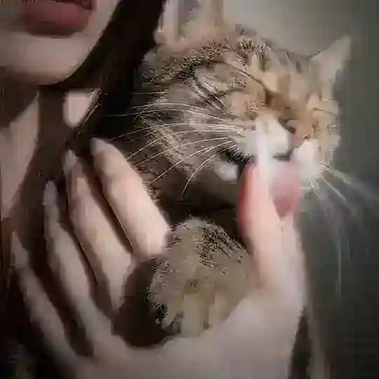 Meow Posting Channel Backup π₯°π₯