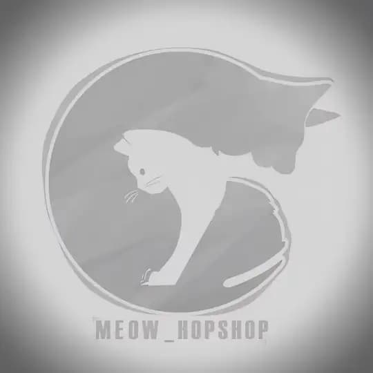 MEOW HOP 🐱| فروشگاه گربه های نژاد دار (پرشین/بریتیش/ اسکاتیش ) (مشهد / تهران / اصفهان / رشت / شیراز / ایران MeowHop)