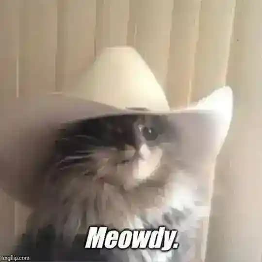 ᴍᴇᴏᴡᴅʏ🤠