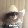 ᴍᴇᴏᴡᴅʏ🤠