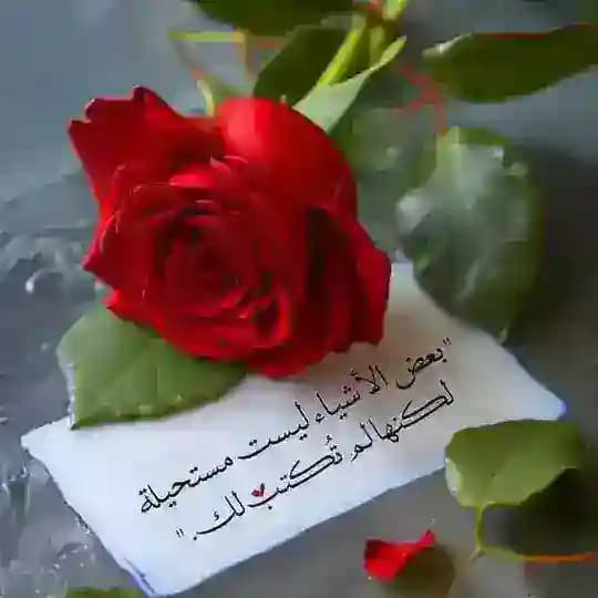 مملكة ❤مّـُ๛كّْ اٍّلَّلَّيٌّلّ❤️‌ الحب