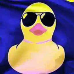 Meu Pato Cursos (Acesso) Profile