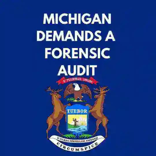Michigan Audit