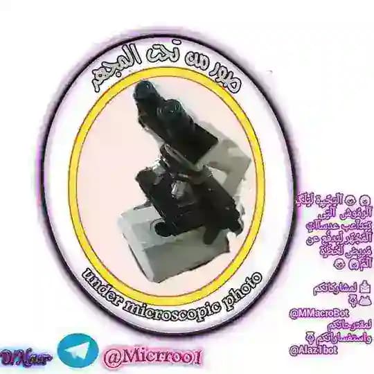 📷صِور مٌن تٍحًتٍ آلّمٌجُهًر🔬 Profile