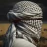 MidEast Insights