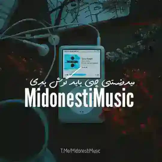 میدونستیچیبایدگوشبدی