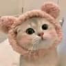 MimiCat