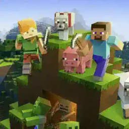 - اصدارات ماين كرافت ⚡ . Profile