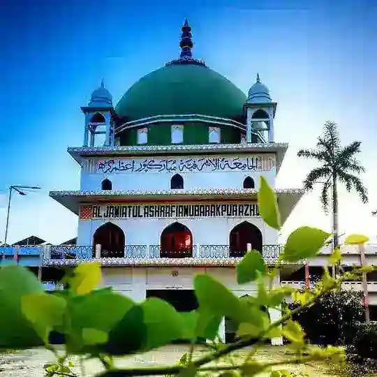 📚 دبستان مصباحی 🎵 Profile