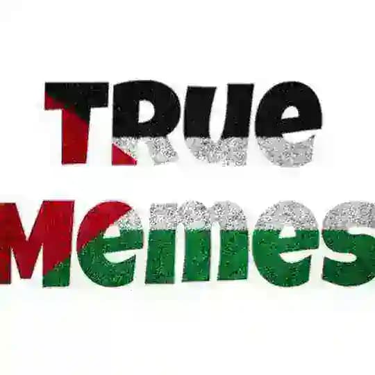 Tℛᥙᥱ MᥱMᥱ᥉🫰🏻👀