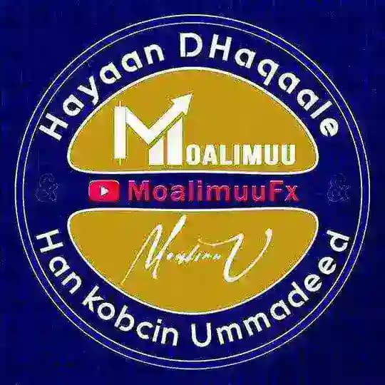 Moalimuu fx Official