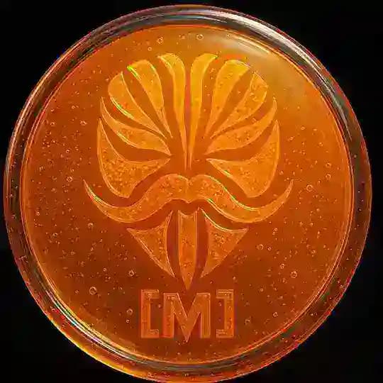 Modules Magisk