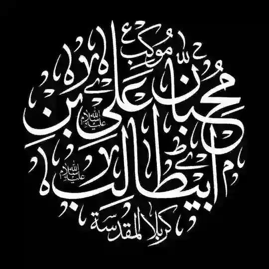 موکب محبان علی بن ابی طالب (ع) کربلا