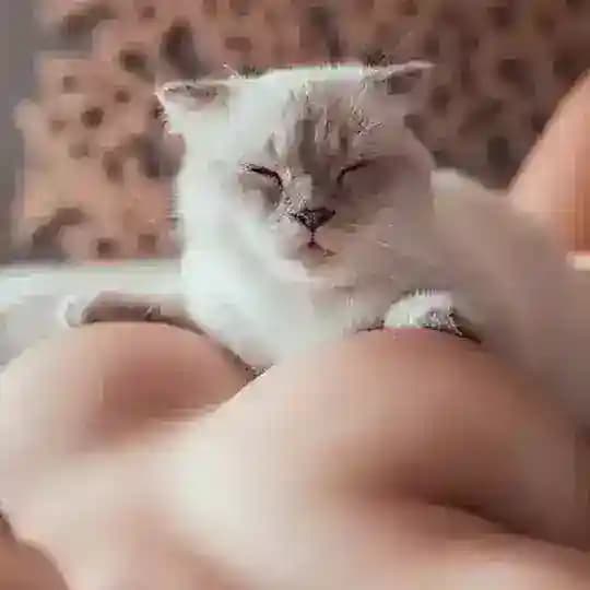 Жеребёнок Мыши (Stickers and Music)