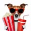 ONE MOVIE