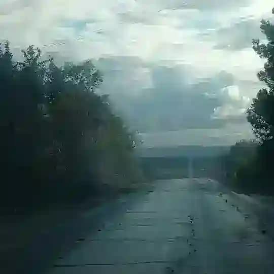 شبردق
