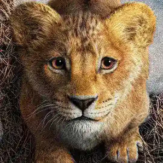Mufasa 🇮🇹