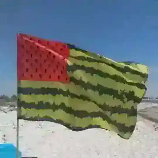 麻利坚合众瓜🍉 Profile